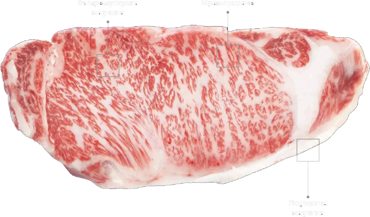 wagyu meat