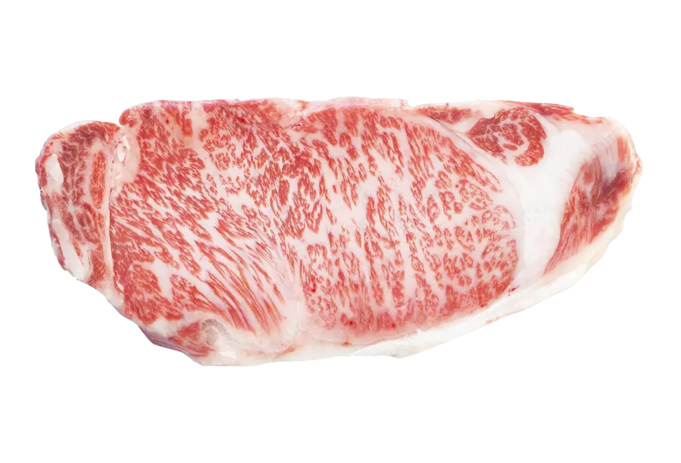 wagyu meat