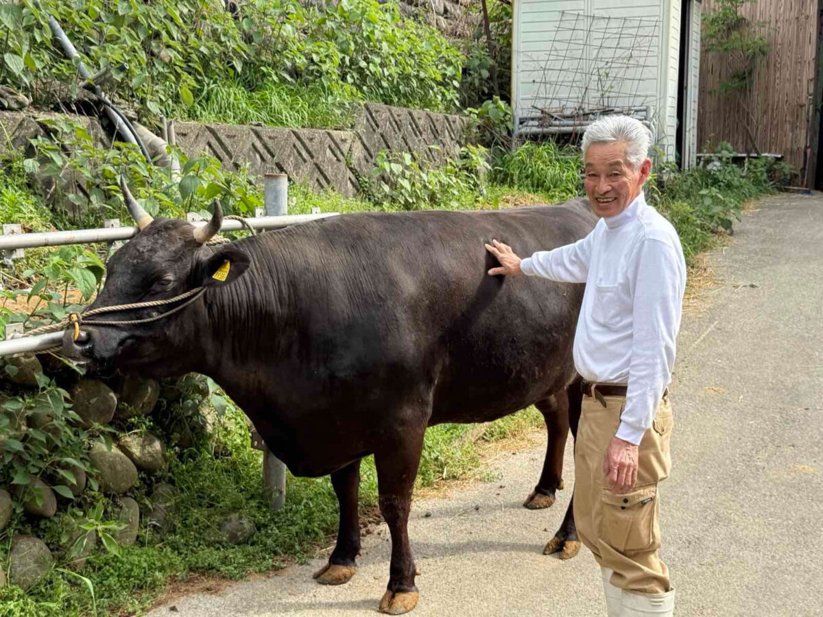 Как се създава съвършеното Wagyu? image